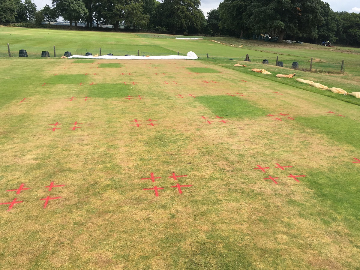 Wetting agent H2Pro TriSmart now registered as ‘non-microbial biostimulant' Wetting agent H2Pro TriSmart now registered as ‘non-microbial biostimulant'